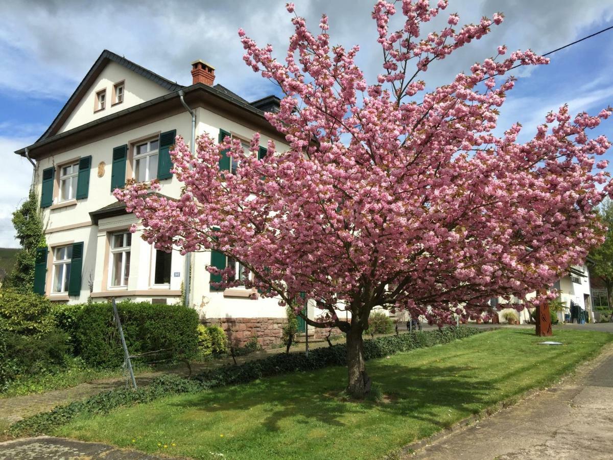 Ferienbungalow Kampenheissji Wiltingen Zewnętrze zdjęcie